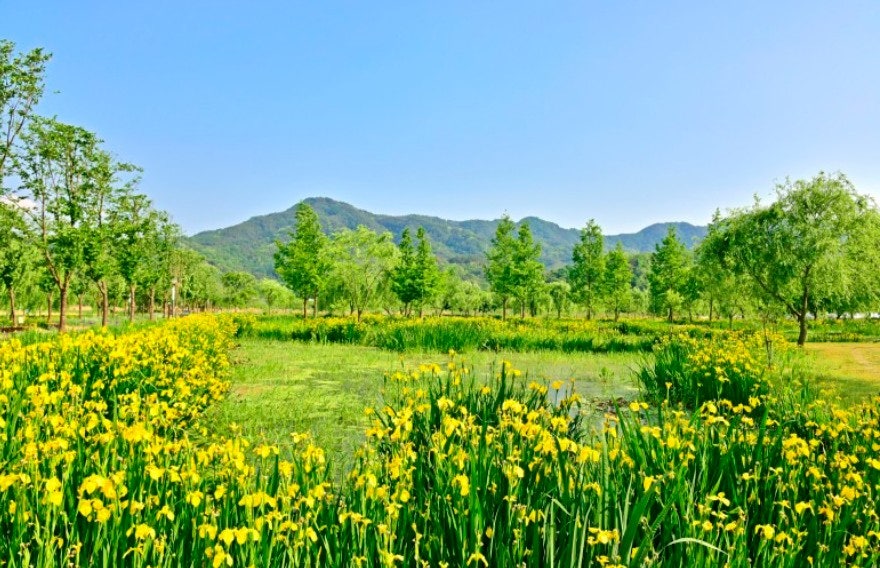 사용자가 올린 이미지