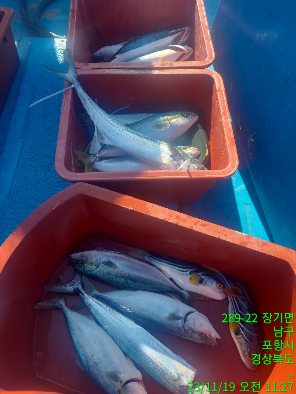 6_ea3Ud018svc10hbg1lyp9blh_9bt2m0.jpg