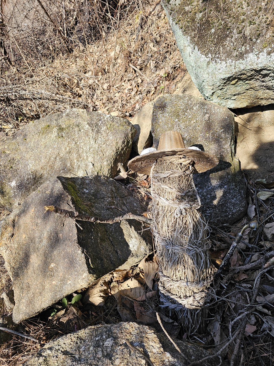 band images