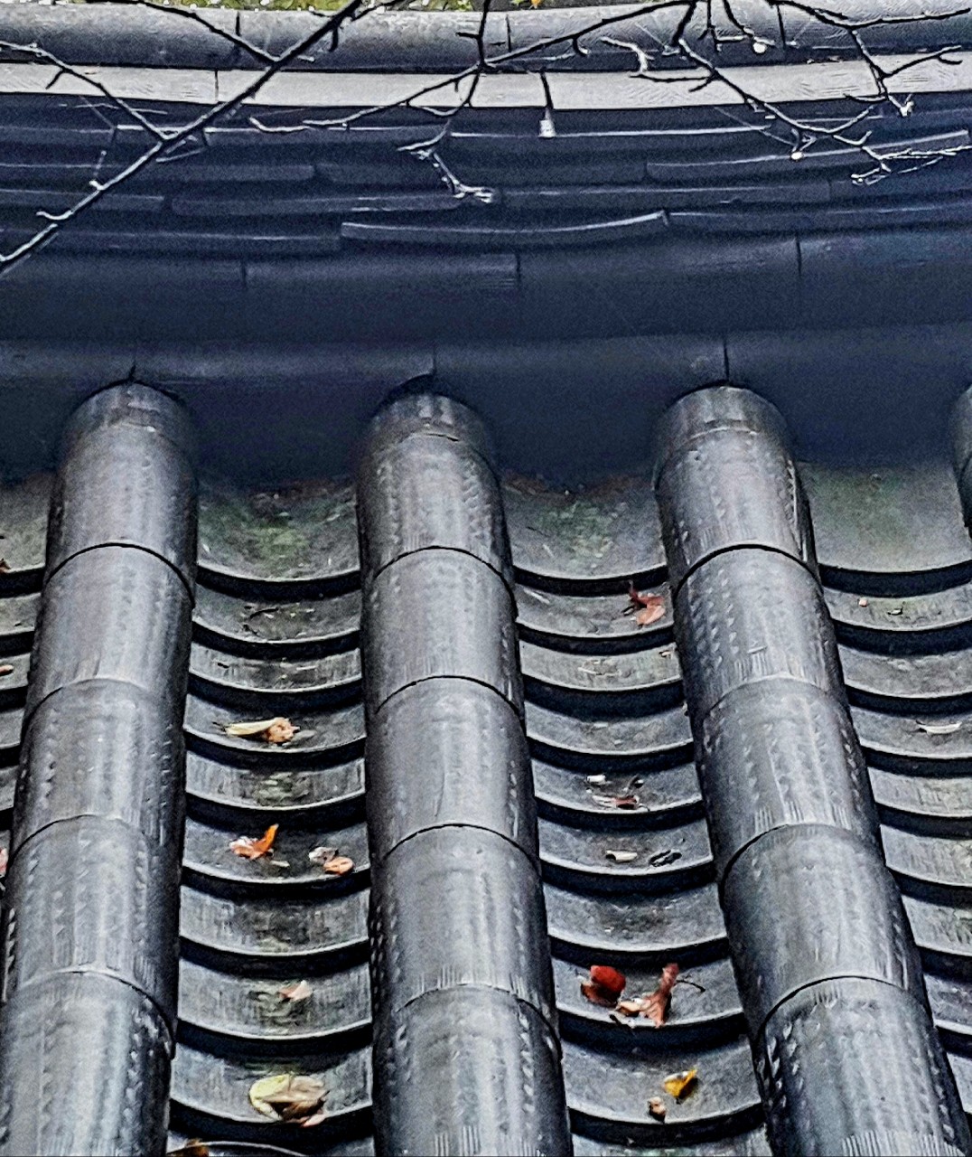 band images