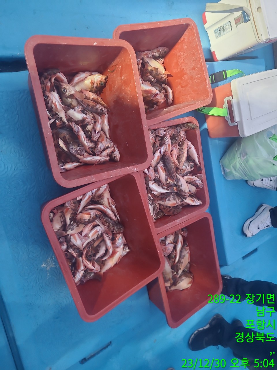 0_gh9Ud018svc1b7silwf6crxv_9bt2m0.jpg