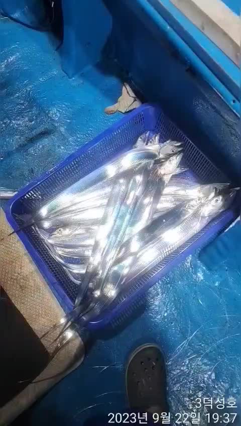 ��●기존판매가격 8,100만원에서 1,000만원 다운되었습니다.●��