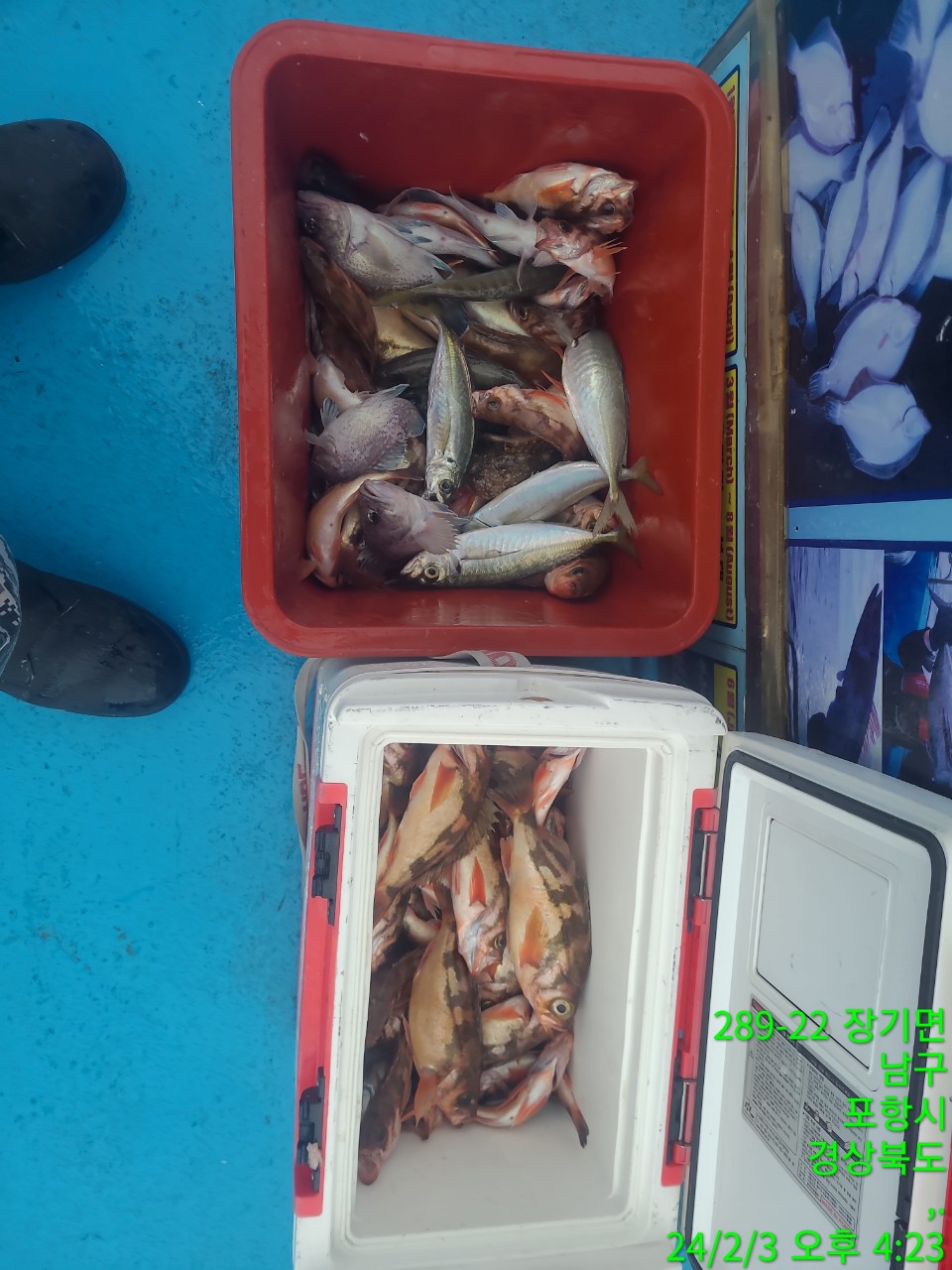 g_d0aUd018svc1xdgtqeryht07_9bt2m0.jpg