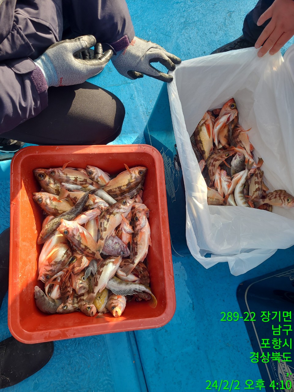 g_f0aUd018svc3d526ntaxk7j_9bt2m0.jpg