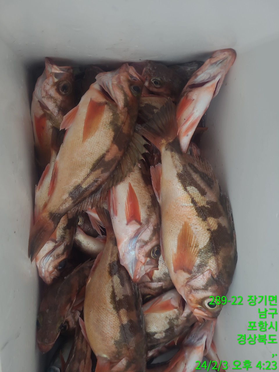 g_c0aUd018svc1afifqzsusdjn_9bt2m0.jpg