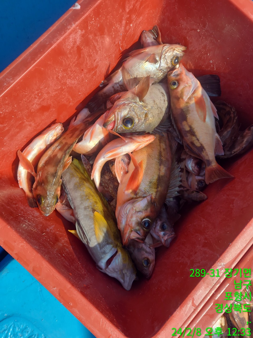 0_ieaUd018svcxojattm9b4xb_9bt2m0.jpg