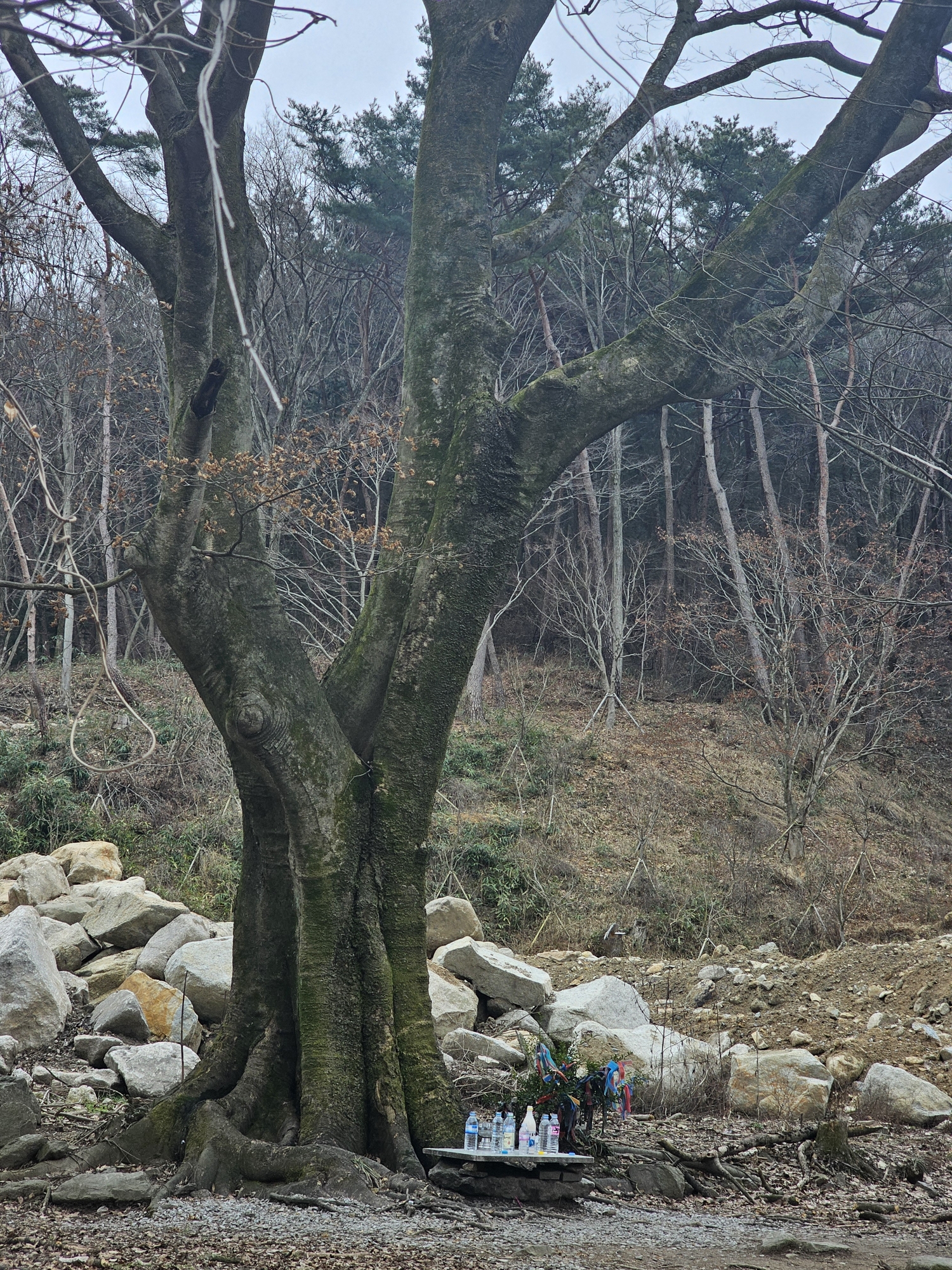 band images