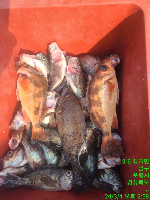 j_890Ud018svc54g3nf0nvnm6_9bt2m0.jpg