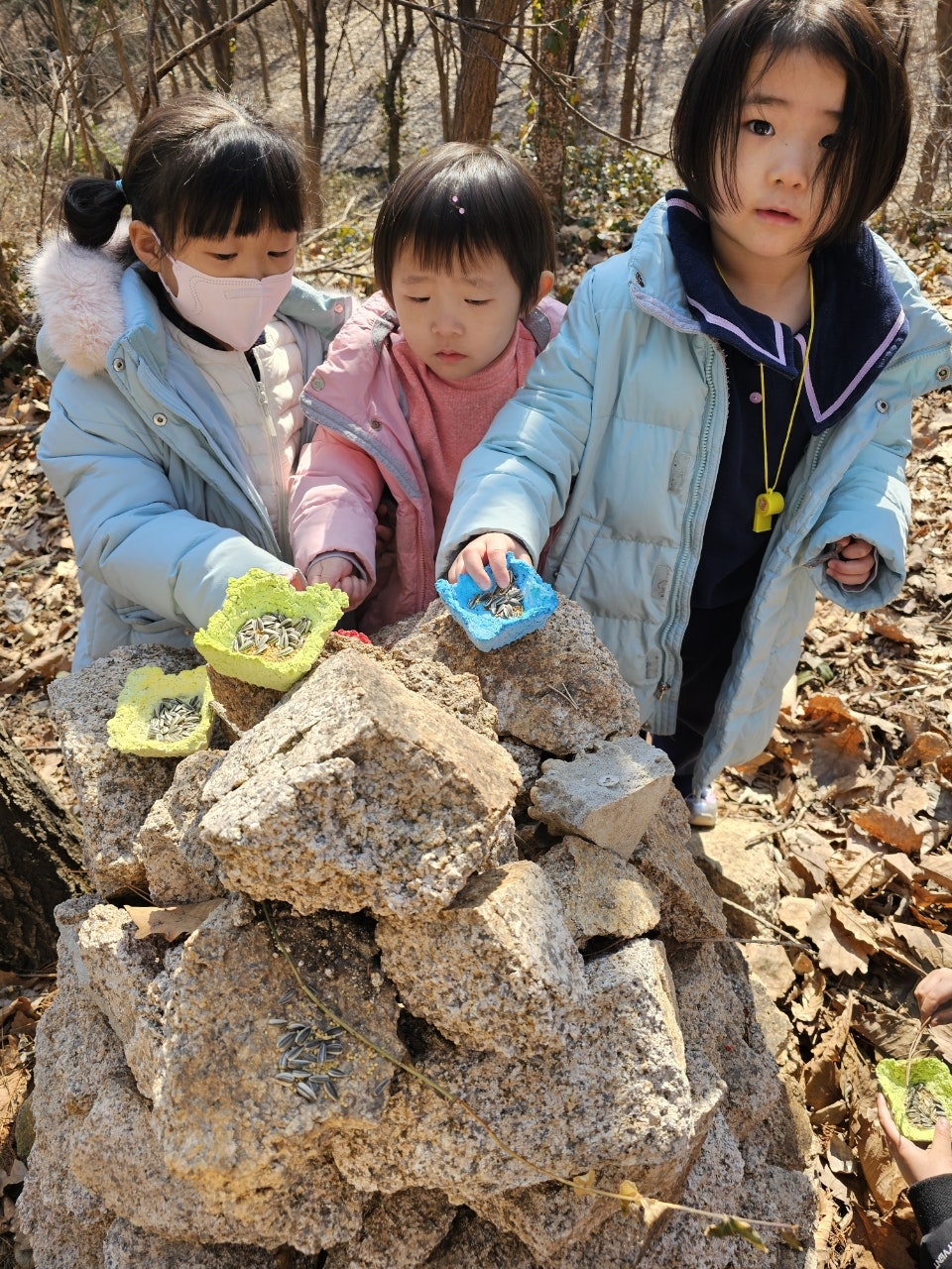 사용자가 올린 이미지