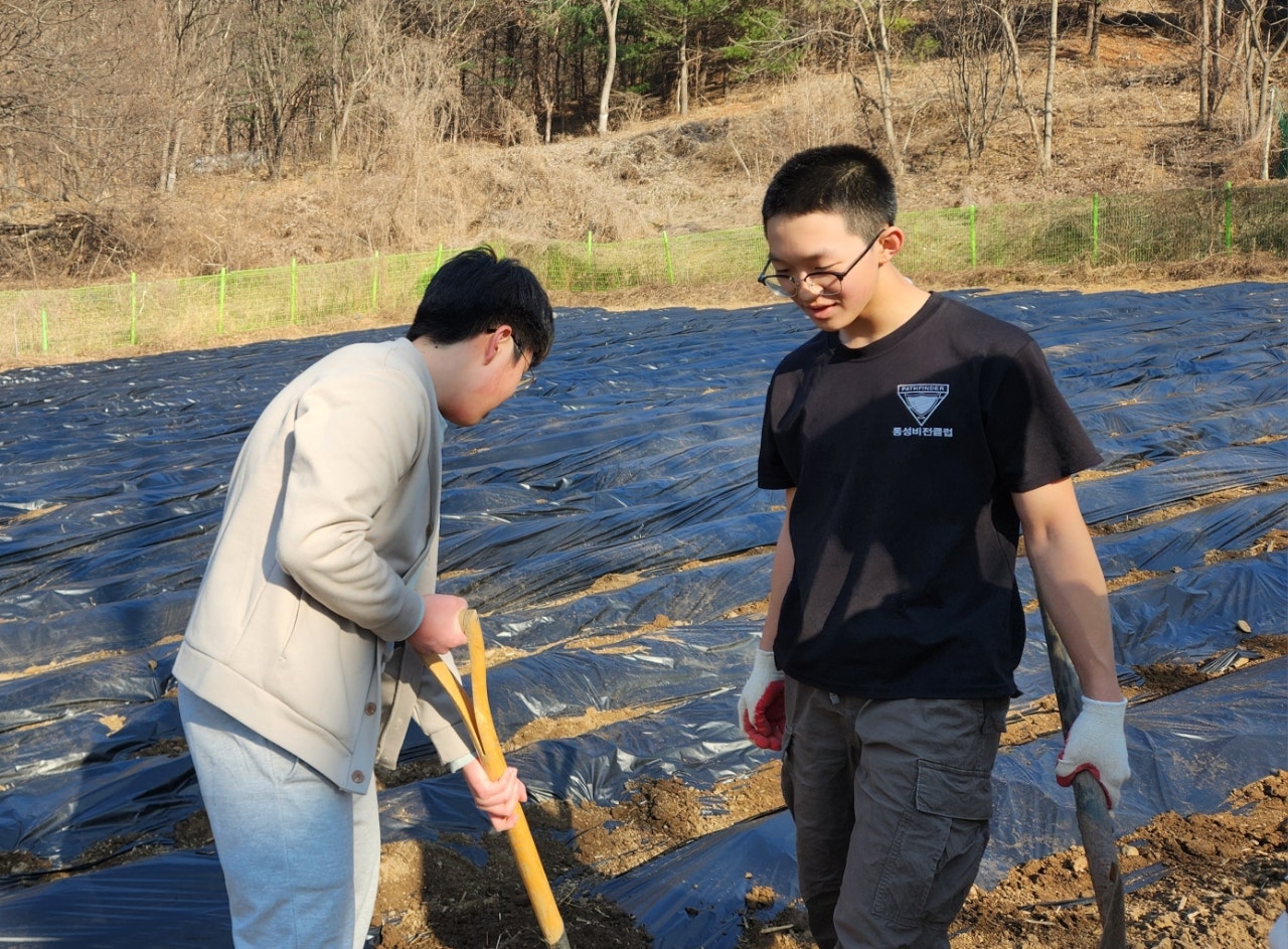 사용자가 올린 이미지