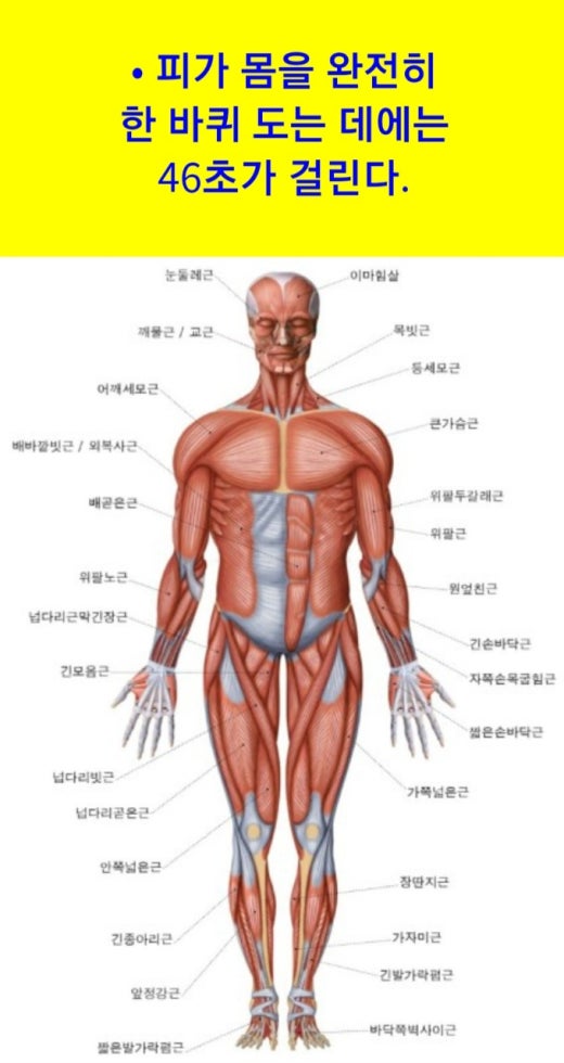 (주)본초바이오 이미지