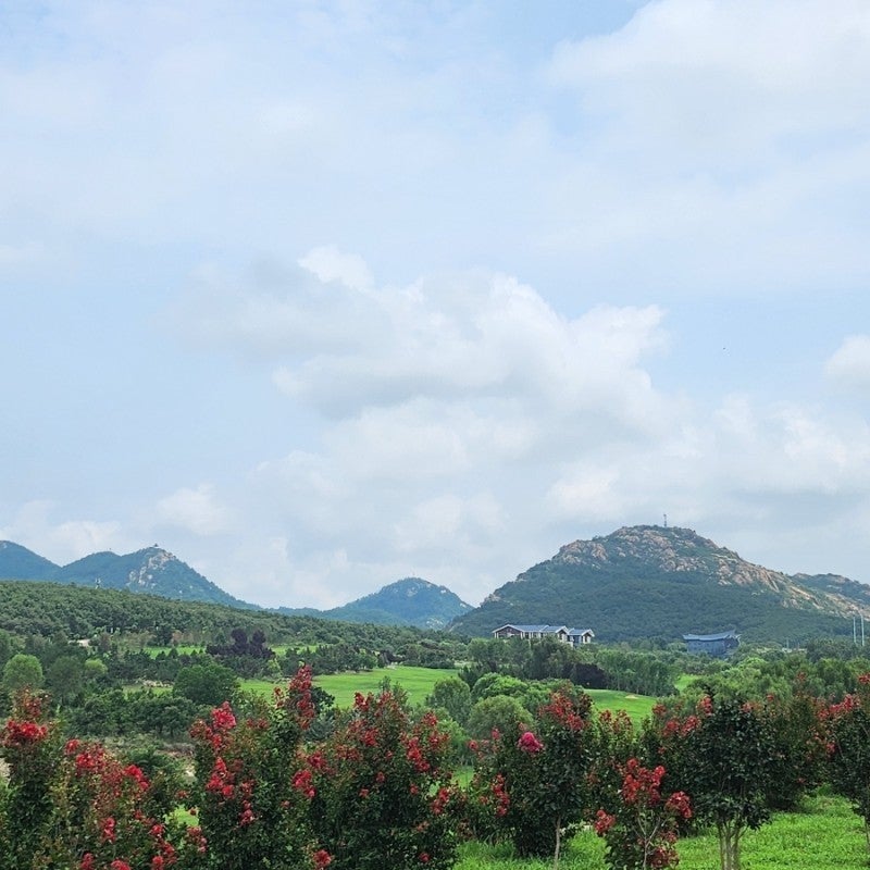 사용자가 올린 이미지