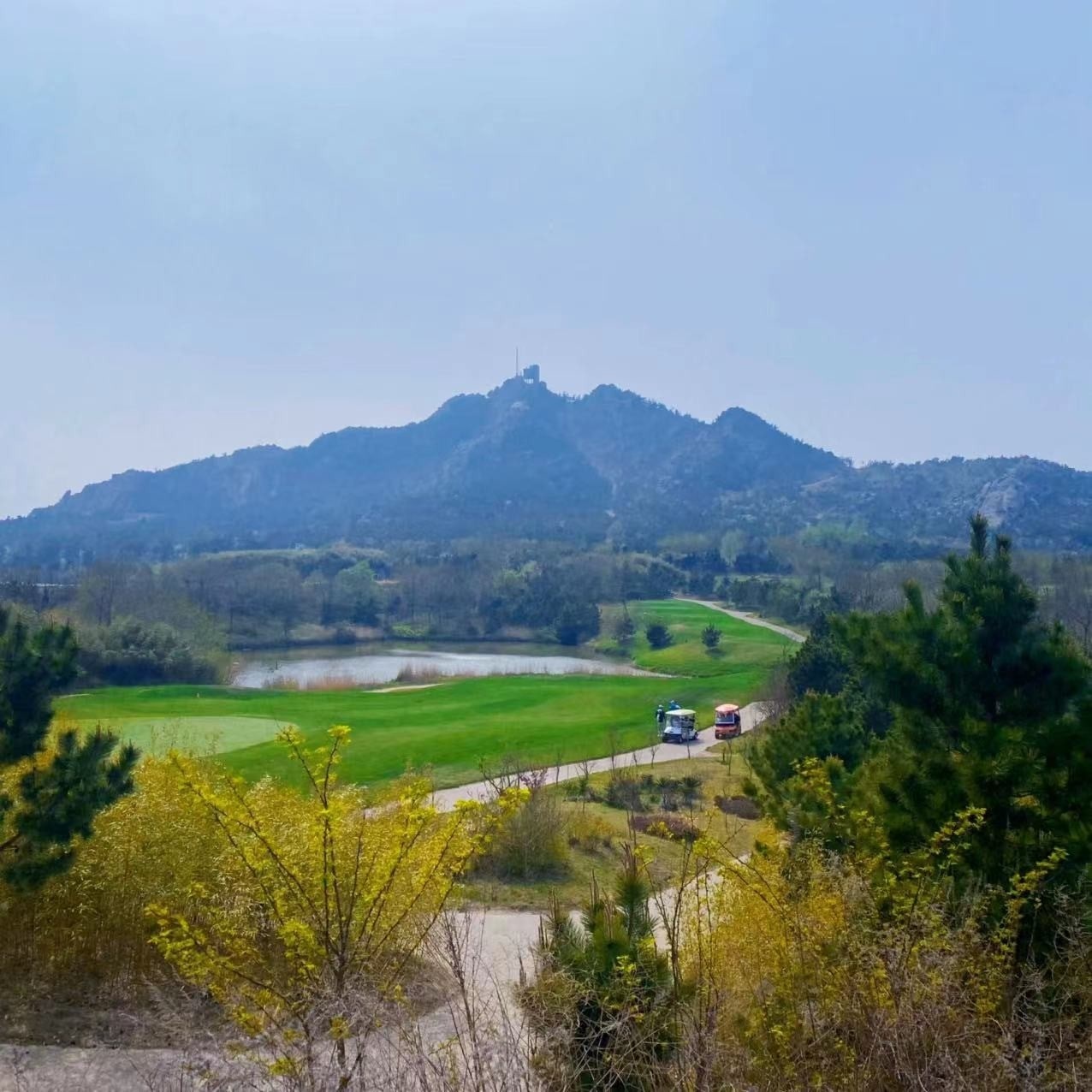 사용자가 올린 이미지