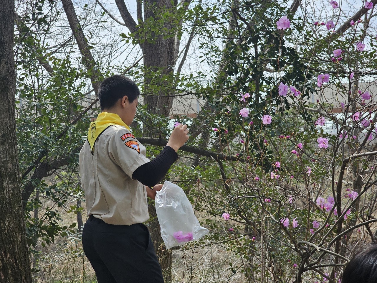 사용자가 올린 이미지