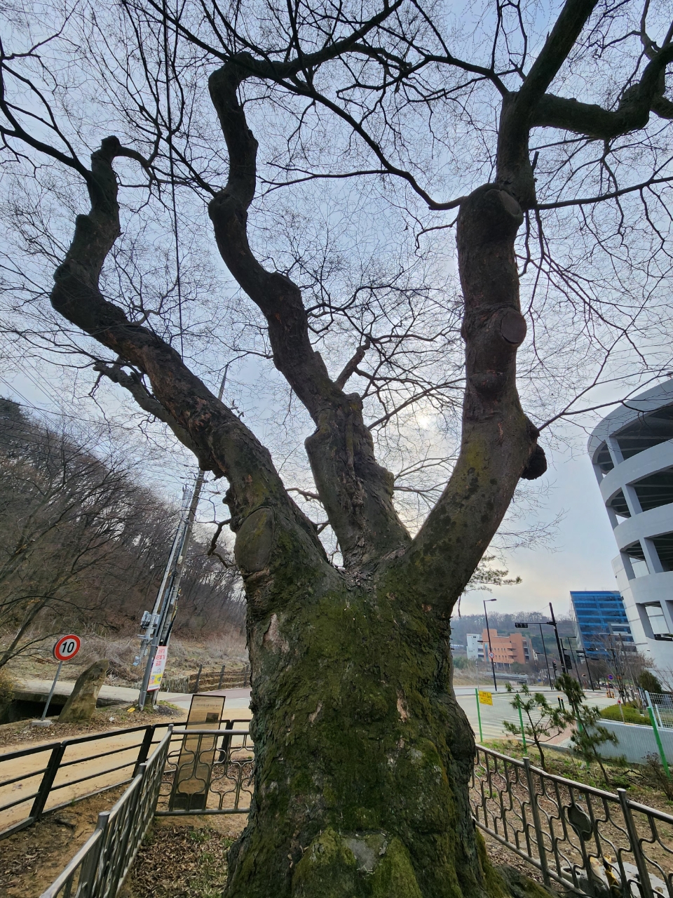 band images