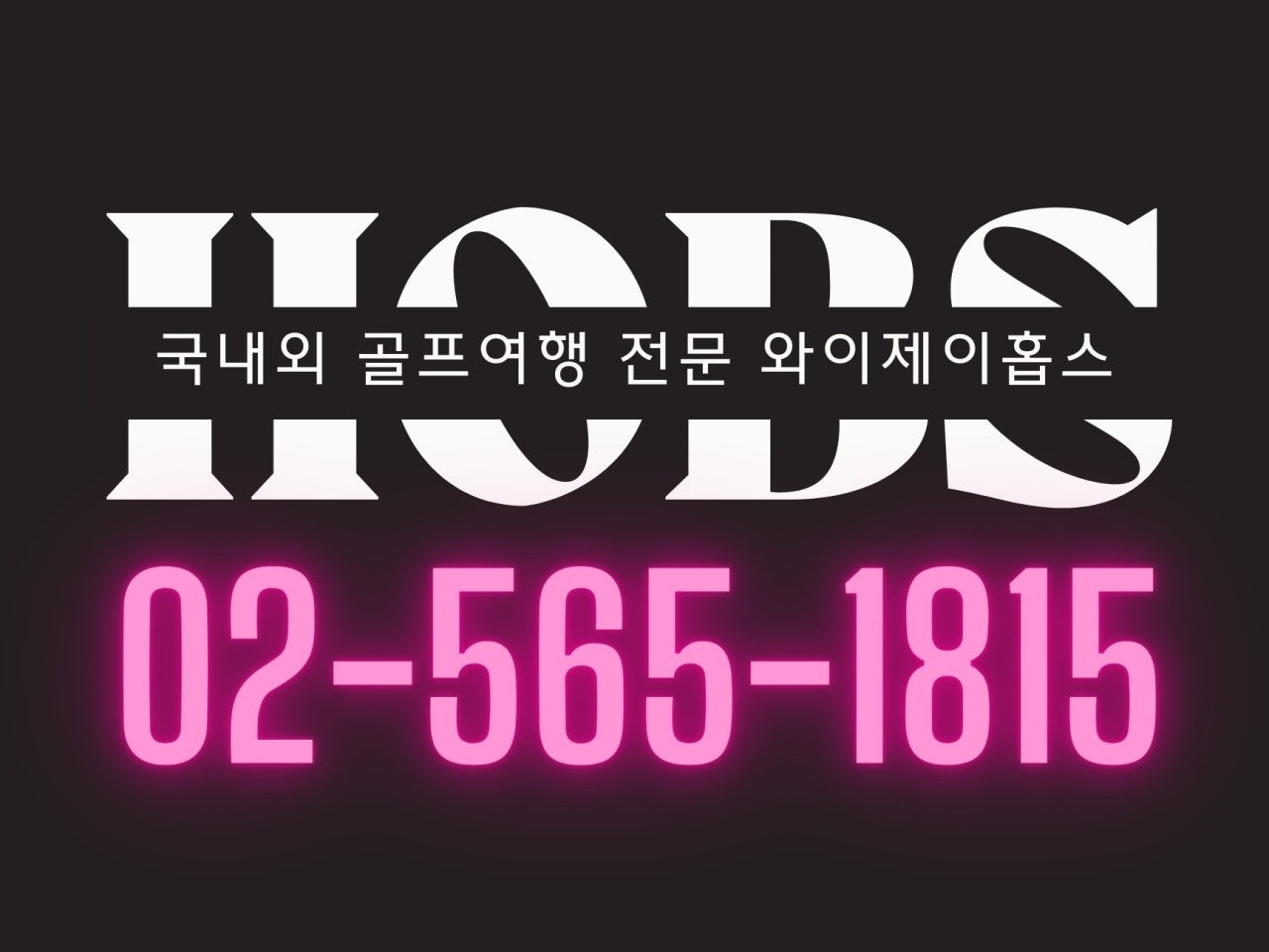 와이제이 여행사 이미지