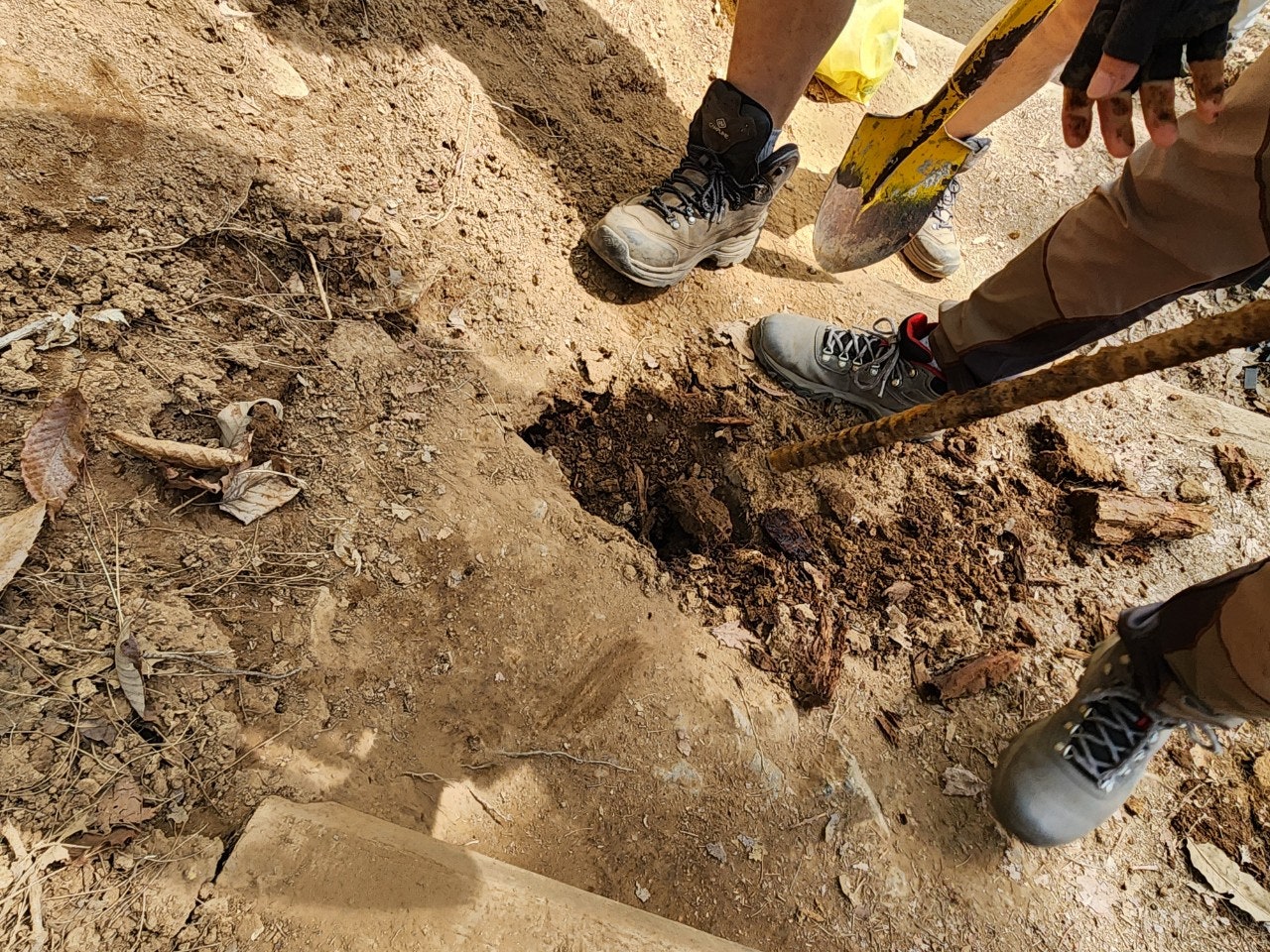 사용자가 올린 이미지