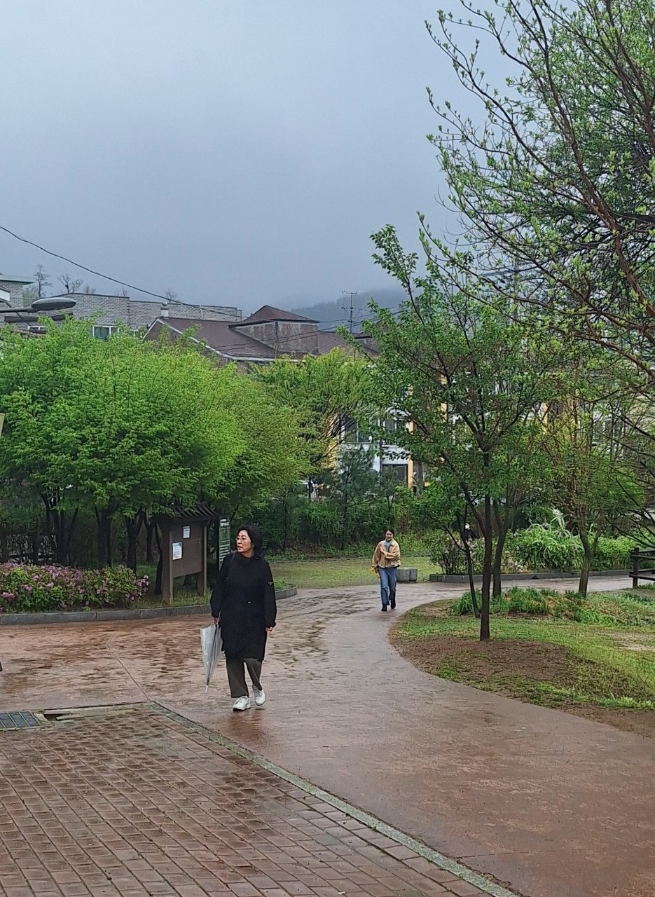 사용자가 올린 이미지