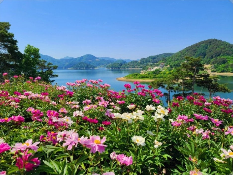 사용자가 올린 이미지