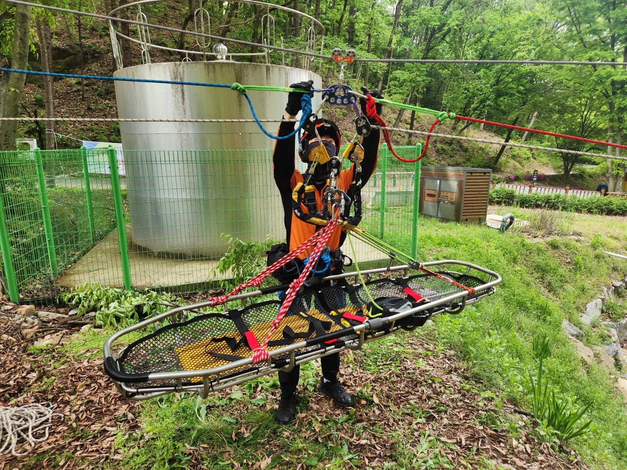 사용자가 올린 이미지