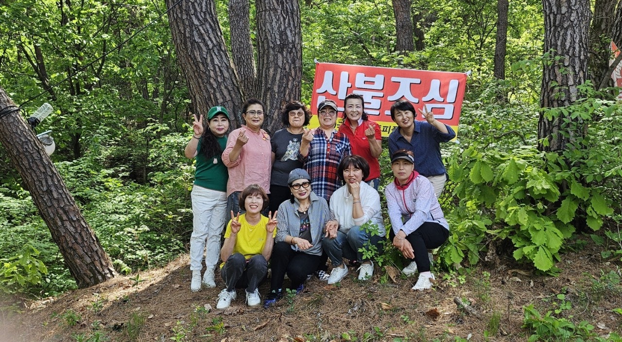 사용자가 올린 이미지