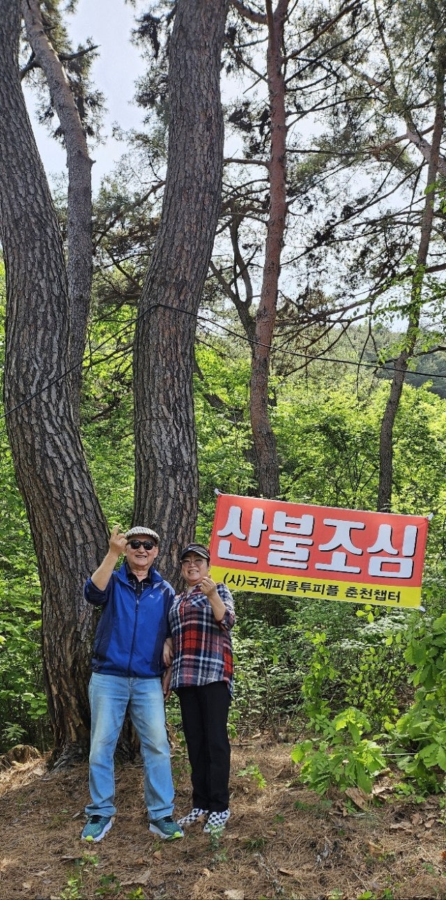 사용자가 올린 이미지