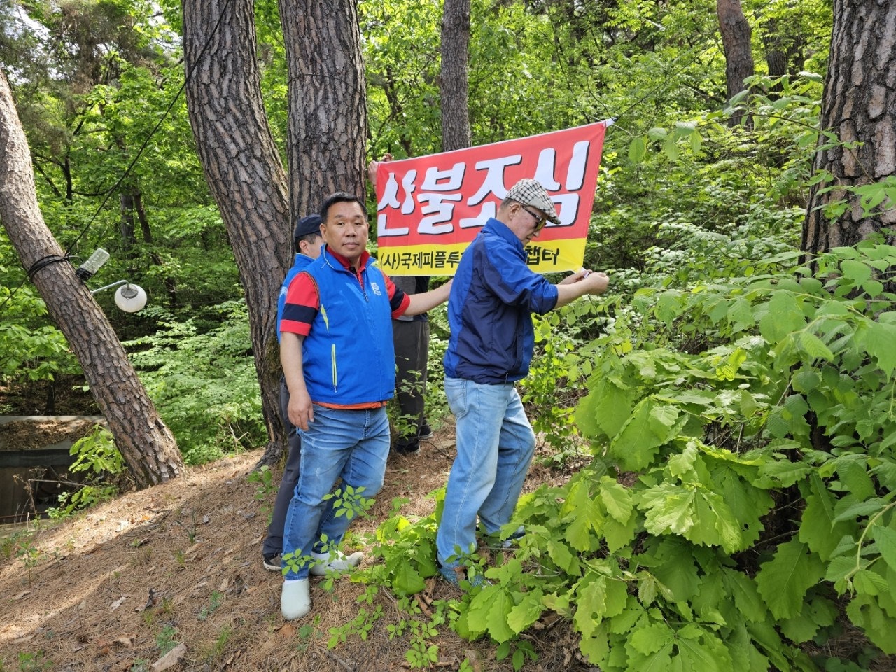 사용자가 올린 이미지