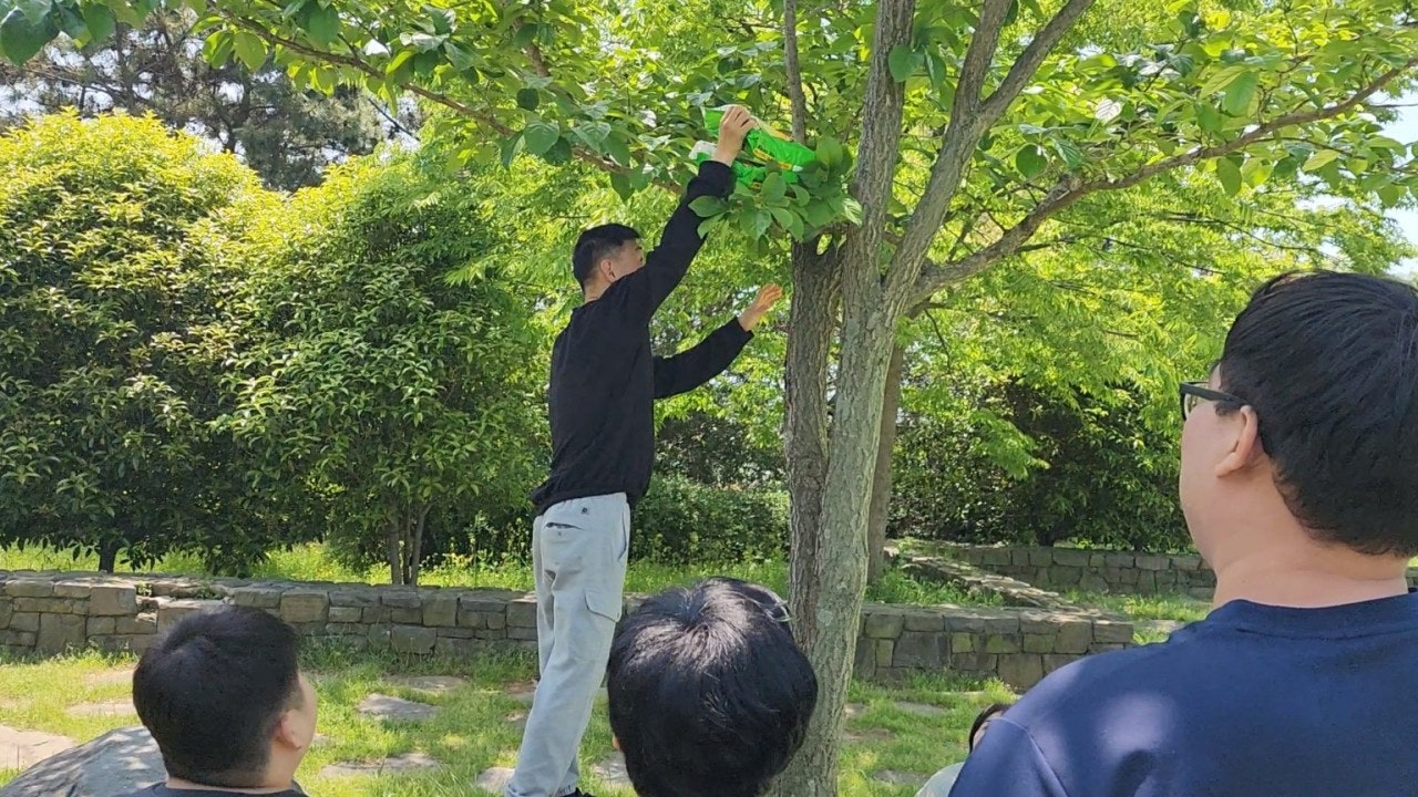 사용자가 올린 이미지