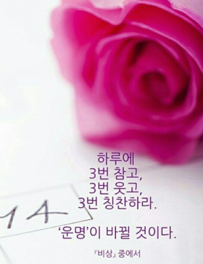 골목집 이미지