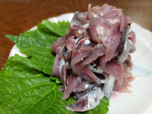 사진