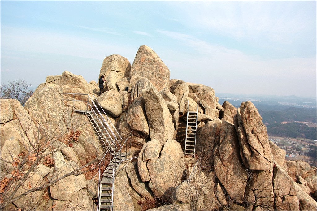 사용자가 올린 이미지