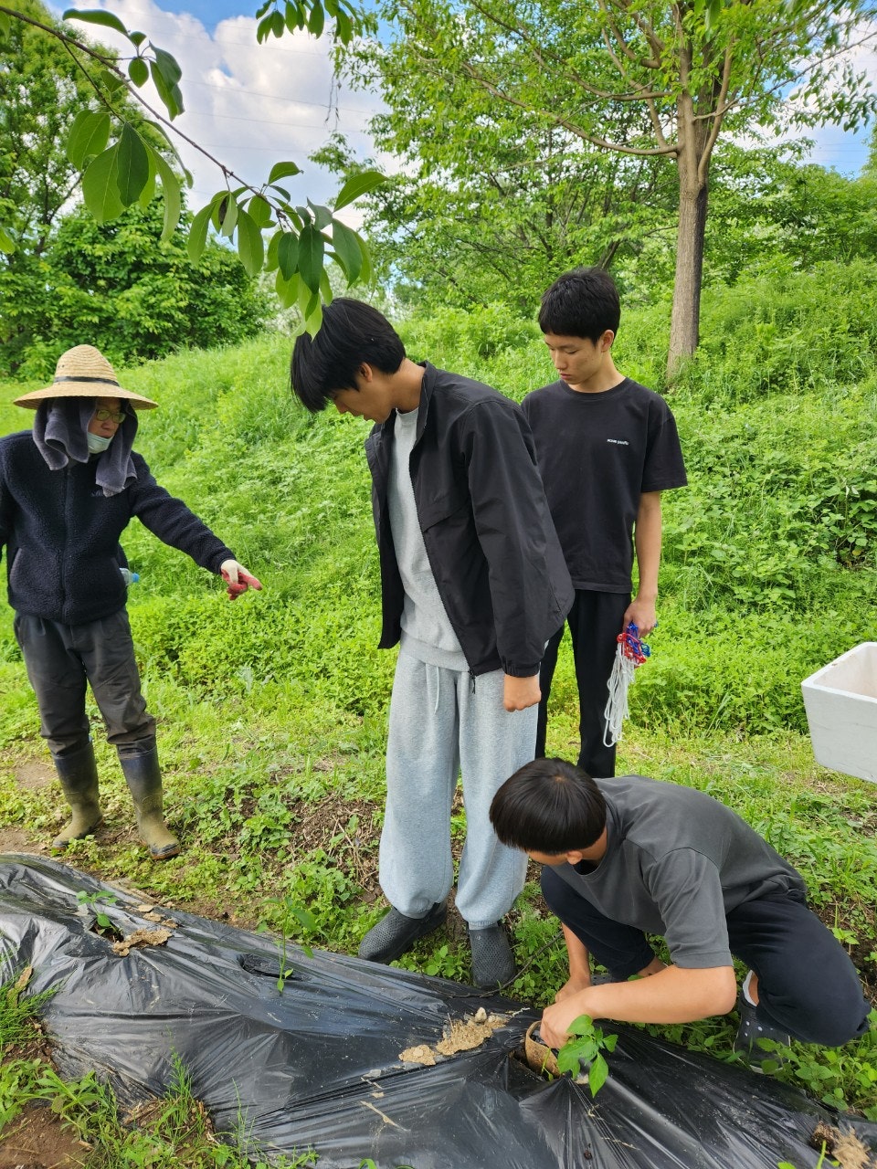 사용자가 올린 이미지