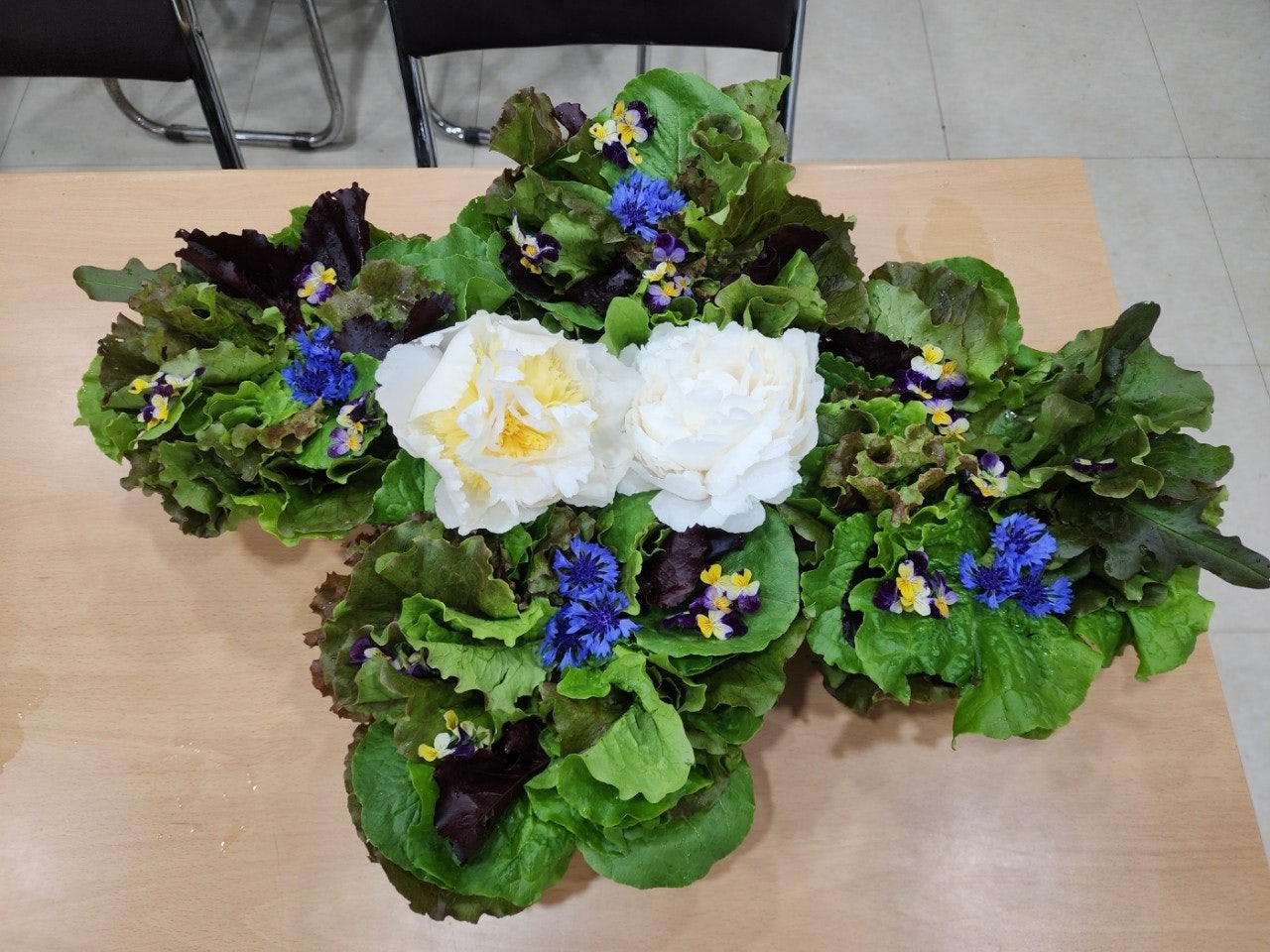 사용자가 올린 이미지