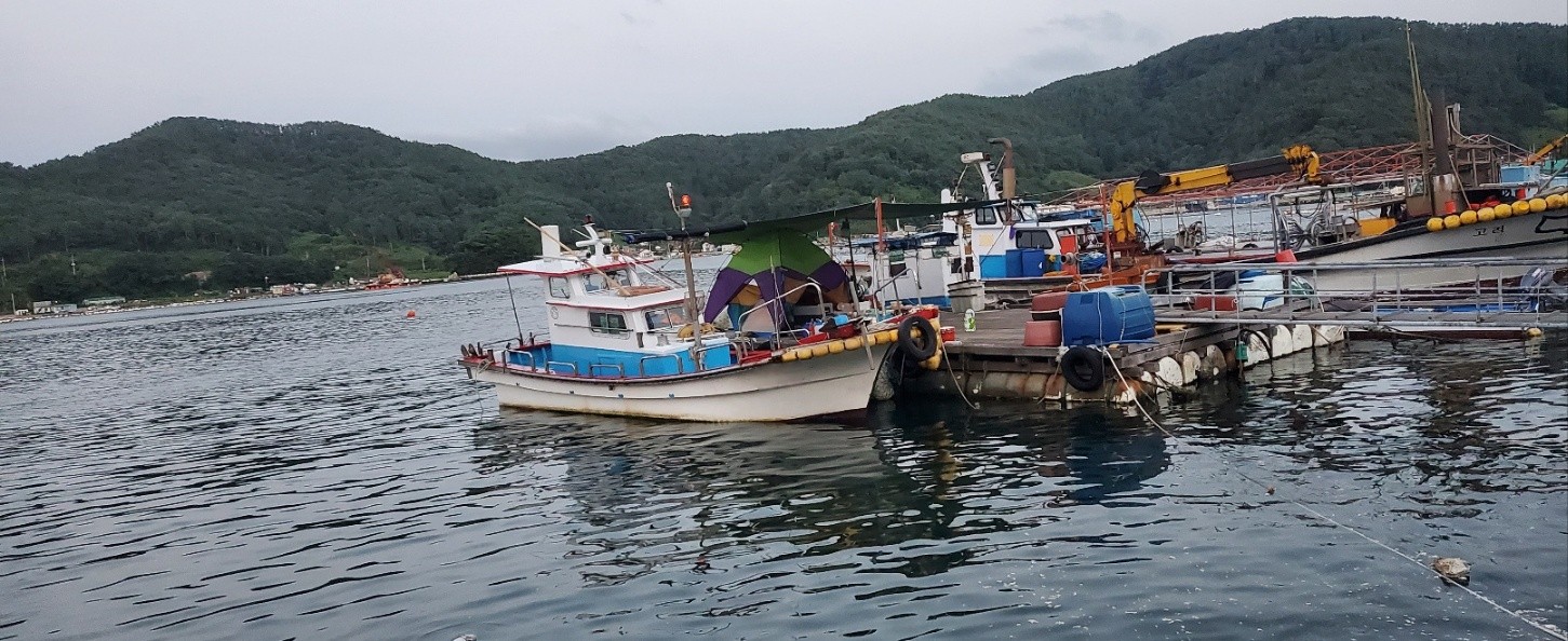 레져선 2.84톤 선내기 판매합니다