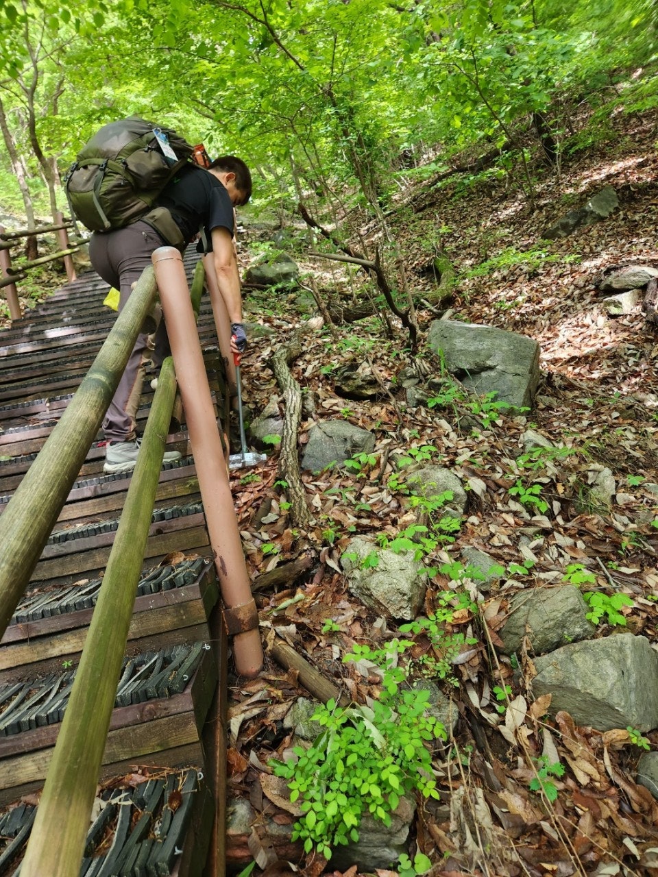 사용자가 올린 이미지