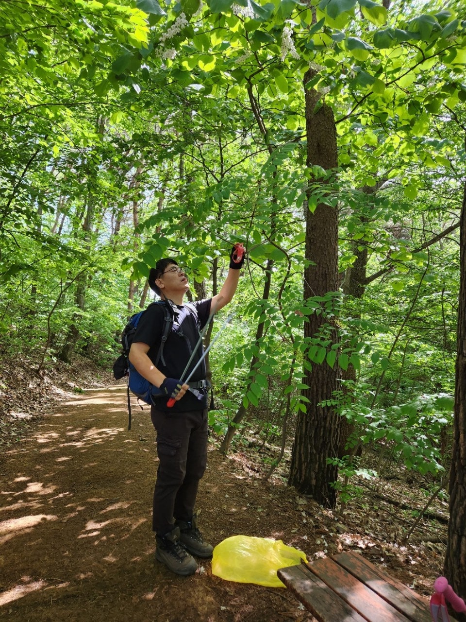 사용자가 올린 이미지