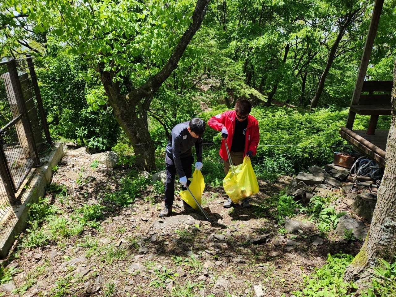 사용자가 올린 이미지