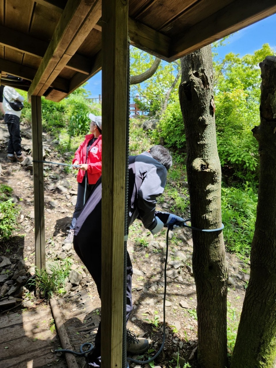 사용자가 올린 이미지