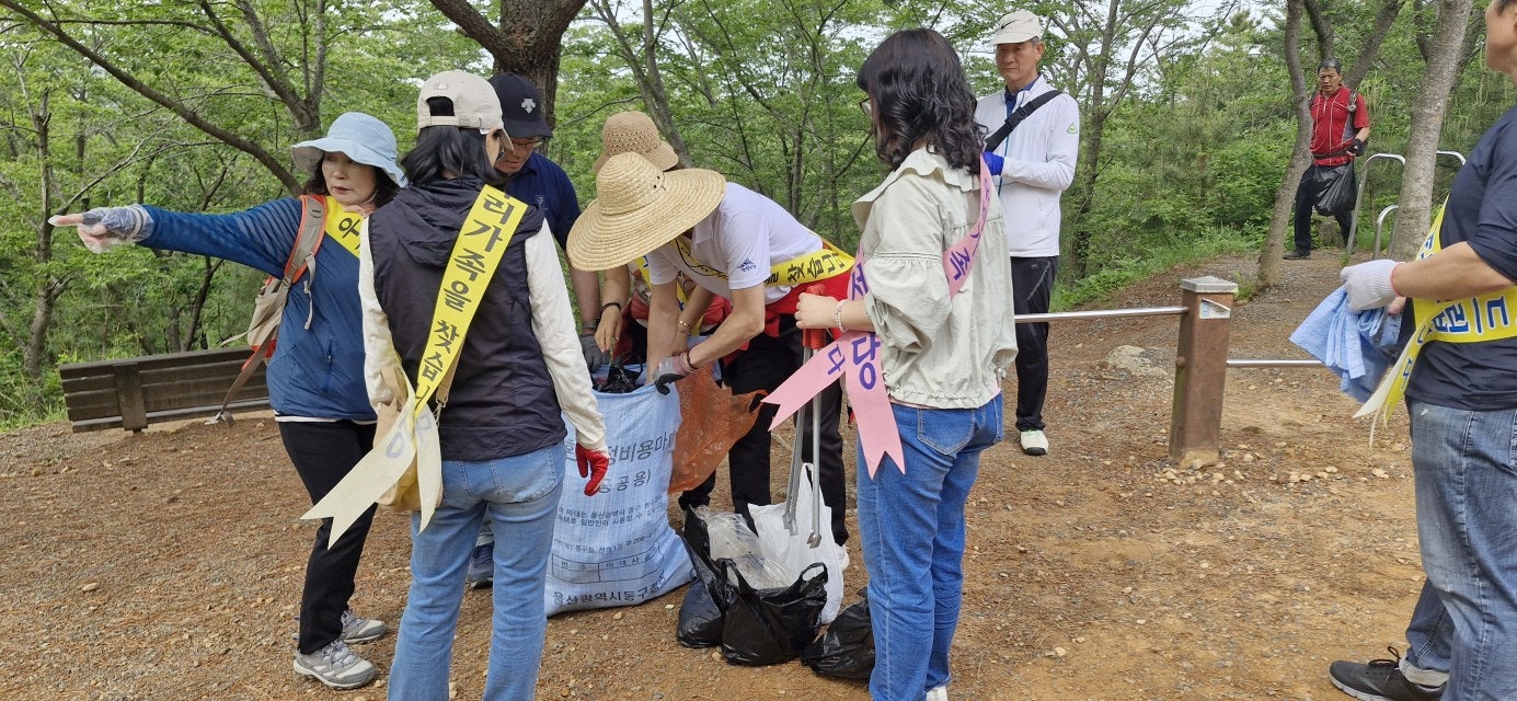사용자가 올린 이미지