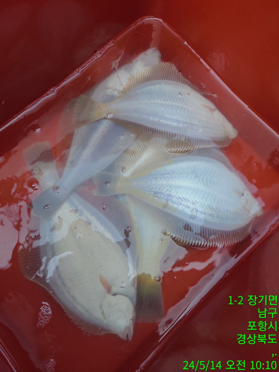 a_907Ud018svcgbr24wenfpd_9bt2m0.jpg