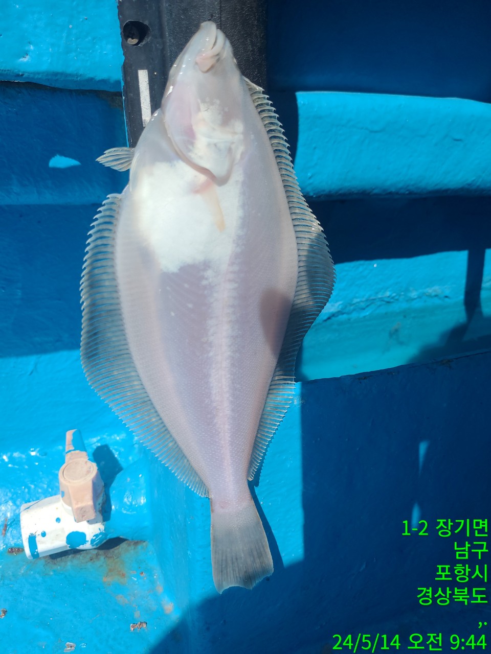 b_007Ud018svcilxod2yi13nr_9bt2m0.jpg