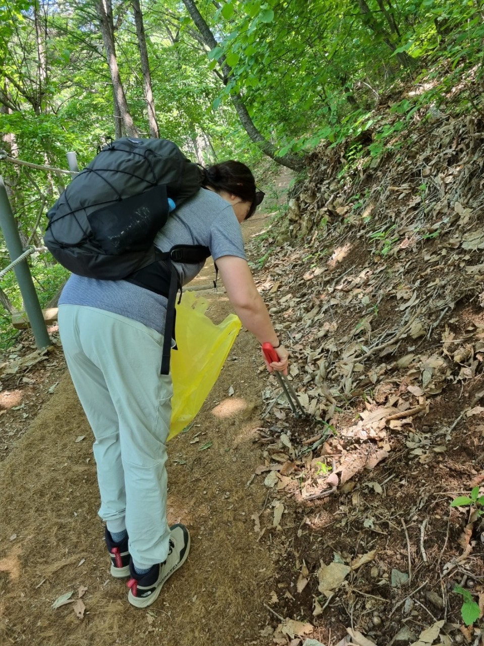 사용자가 올린 이미지