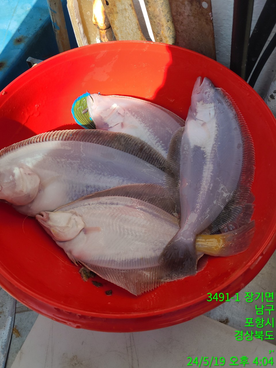c_92aUd018svc16s177n38uc1c_9bt2m0.jpg