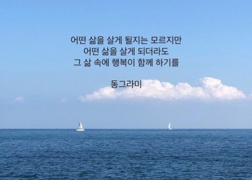 사용자가 올린 이미지