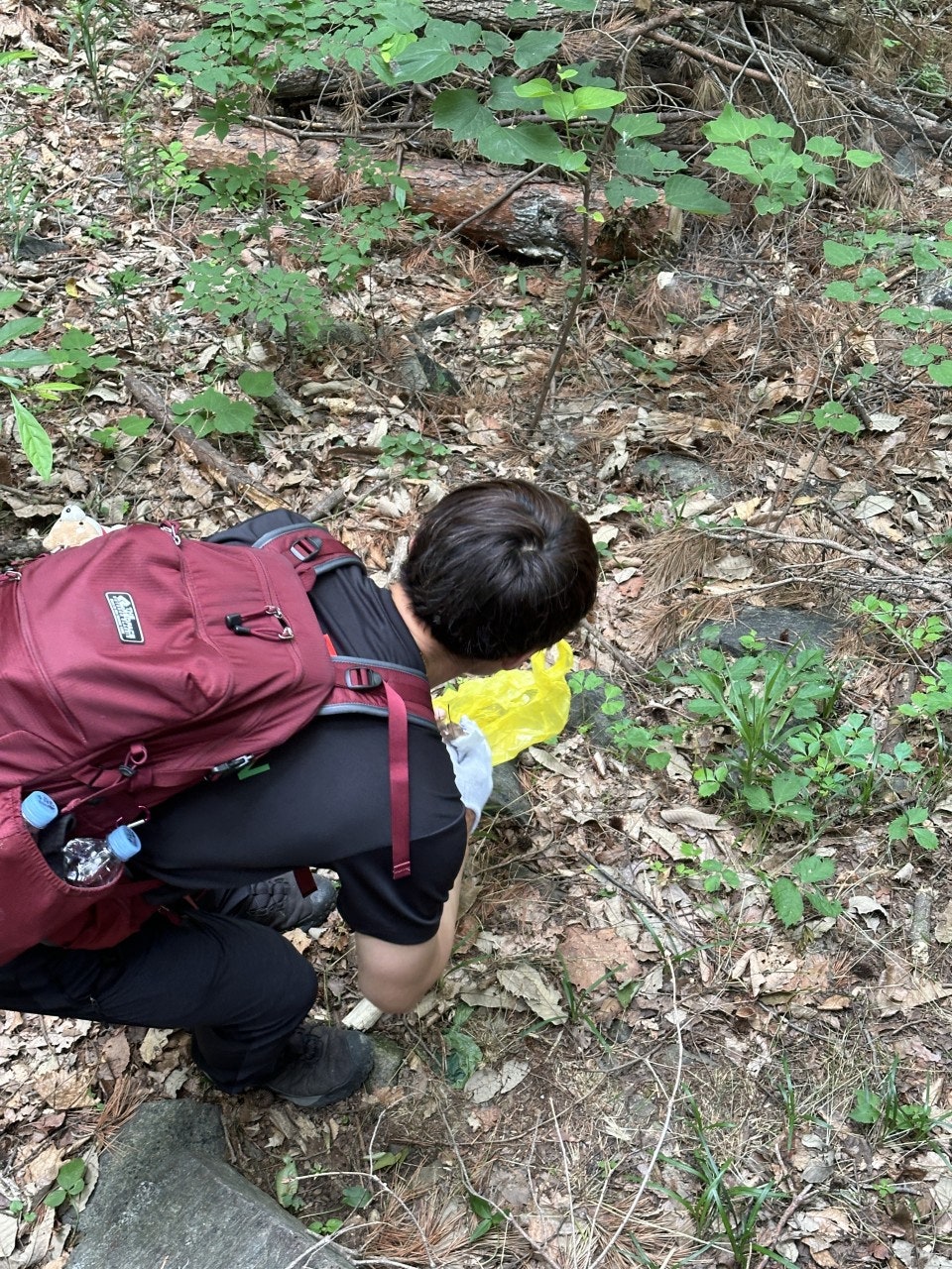 사용자가 올린 이미지