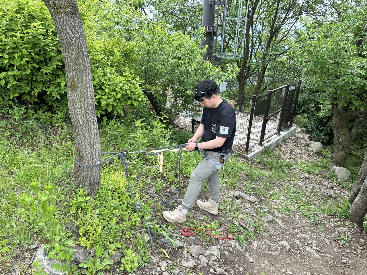 사용자가 올린 이미지