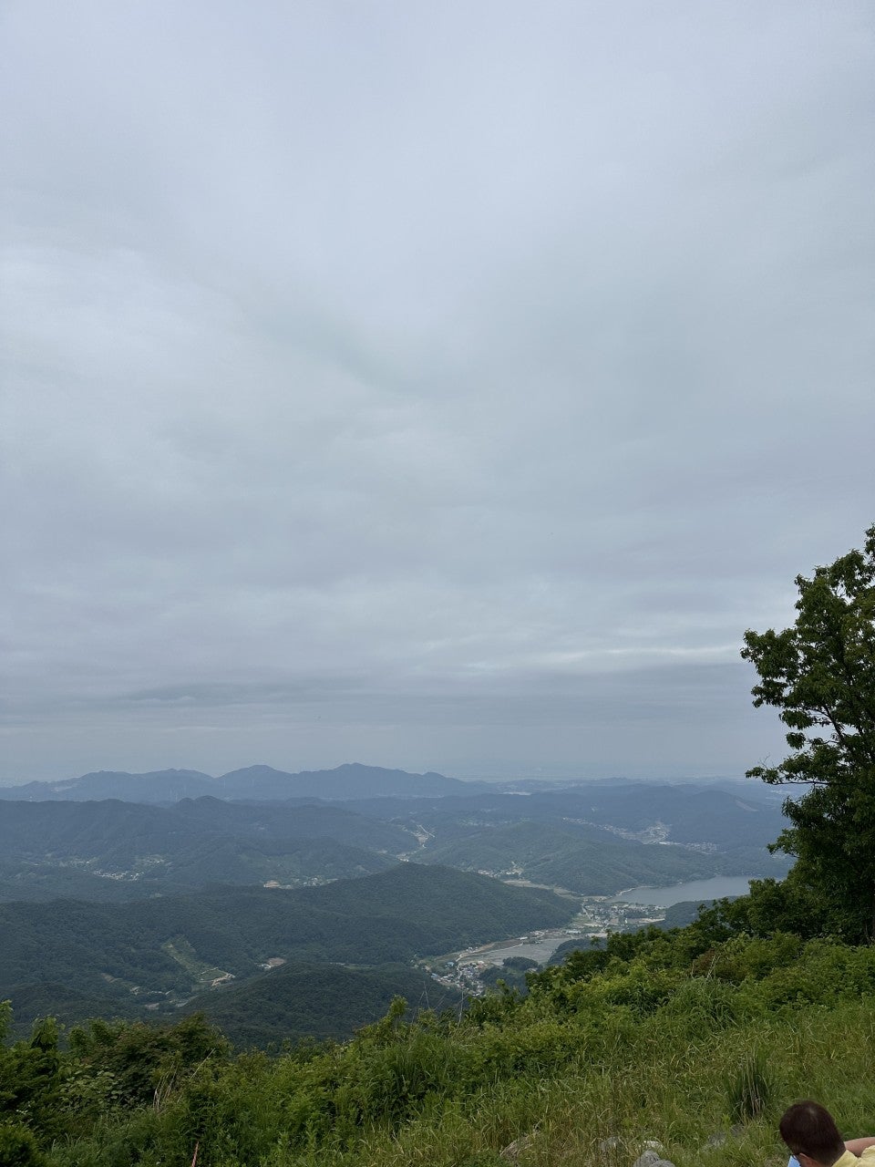 사용자가 올린 이미지