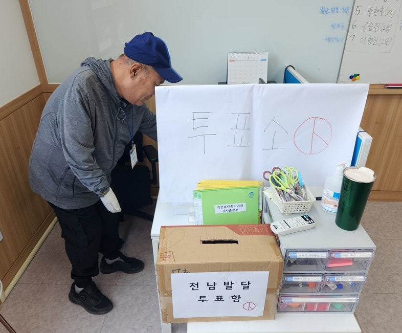 사용자가 올린 이미지