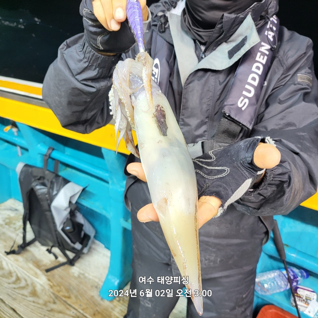 사용자가 올린 이미지