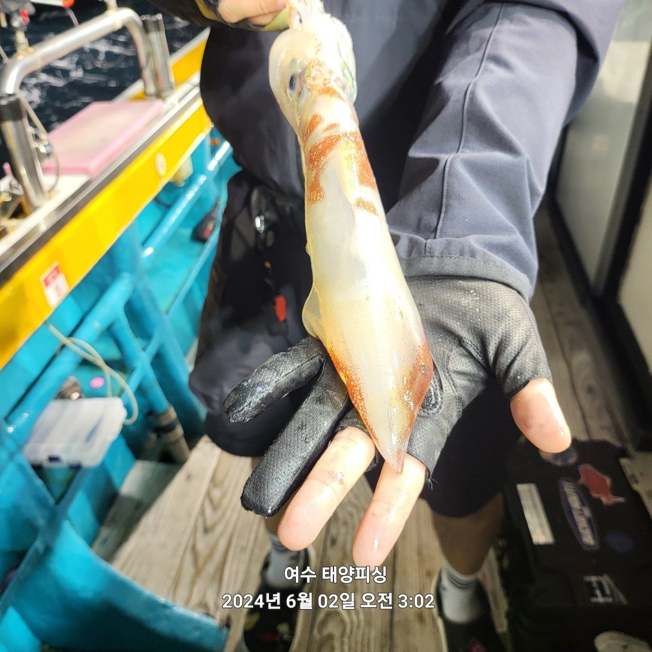 사용자가 올린 이미지